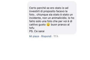 La risposta dell'autore della foto