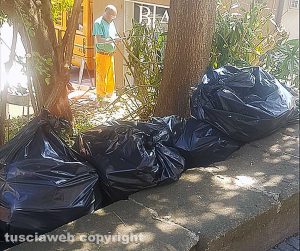Viterbo - Discarica a cielo aperto al Sacrario