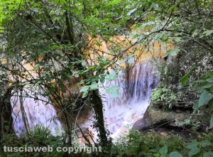 Il sentiero per le cascate all'Acquarossa 