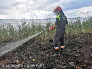 Montefiascone - Incendio di sterpaglie e canneto sul lungolago