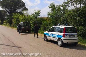 Montefiascone - Capriolo rimane incastrato in un cancello - Carabinieri forestali e polizia locale