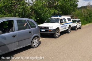 Montefiascone - Capriolo rimane incastrato in un cancello - L'intervento dell'Asvom Odv