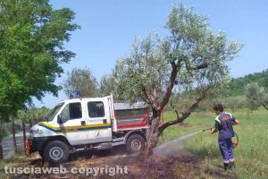 Montefiascone - Incendio di sterpaglie sul lungolago