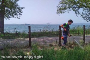 Montefiascone - Incendio di sterpaglie sul lungolago