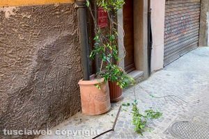 Viterbo - Atto vandalico in via del Ganfione