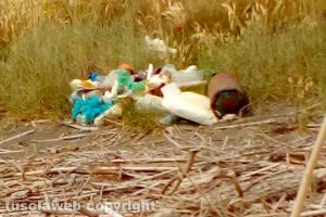 Tarquinia - Rifiuti sulla spiaggia