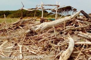Tarquinia - Rifiuti sulla spiaggia