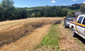 Orte - Incendio di sterpaglie sulla provinciale per Amelia