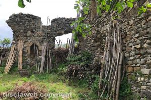 Viterbo - Il castello di Petrignano a Tobia