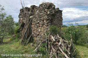 Viterbo - Il castello di Petrignano a Tobia