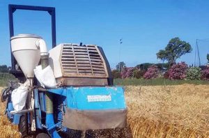Tarquinia - Trebbiatura della prova nazionale di frumento duro biologico