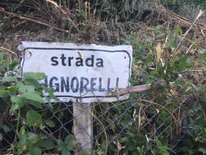 Strada Signorelli 