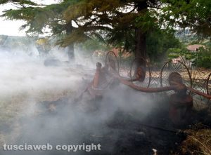 Montefiascone - Incendio di sterpaglie in via Carpine