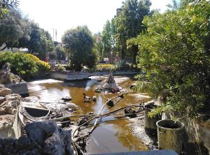 Viterbo - Pratogiardino Battisti - La pulizia delle vasche