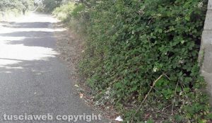 Bagnaia - Taglio dell'erba in zona Pian di Quercia