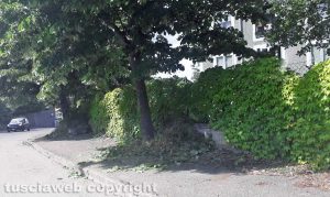 Bagnaia - Taglio dell'erba in zona Pian di Quercia