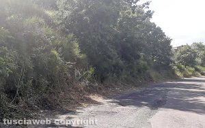 Bagnaia - Taglio dell'erba in zona Pian di Quercia
