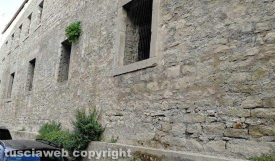Viterbo - Ex scuderie Sallupara - La erbacce