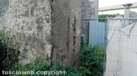 Viterbo - Ex scuderie Sallupara - La erbacce