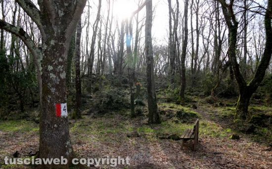 Visita alla Riserva Naturale Selva del Lamone