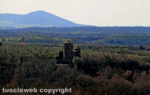 Visita alla Riserva Naturale Selva del Lamone