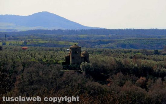 Visita alla Riserva Naturale Selva del Lamone