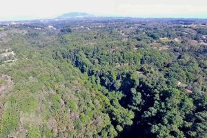 Il parco Valle del Treja
