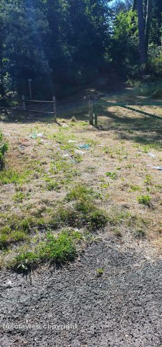 Viterbo - Degrado al parco didattico dei monti Cimini