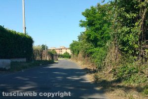 Viterbo - Strada Capretta