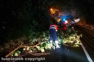 Montefiascone - Albero rischia di cadere sulla Verentana - L'intervento dell'Asvom Odv