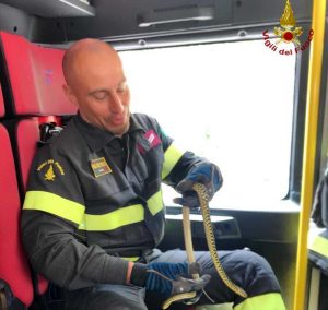 Santa Marinella - Vigili del fuoco recuperano serpente