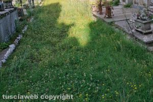 Viterbo - Incuria al cimitero