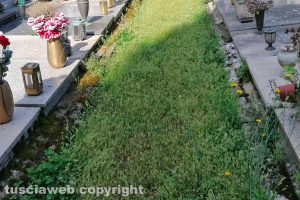 Viterbo - Incuria al cimitero