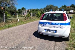 Montefiascone - I due cani trovati in via Otto marzo - L'intervento della polizia locale