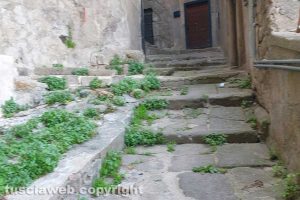 Viterbo - Degrado in via delle Mole