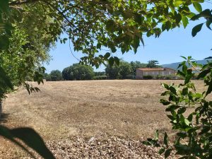 Vetralla - L'area  per l'ampliamento degli impianti sportivi