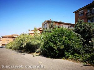Viterbo - Canneto in via Puccini