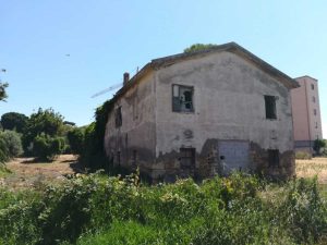"Pantano ed erba alta nel terreno nel quartiere di Madonna dell'Olivo"