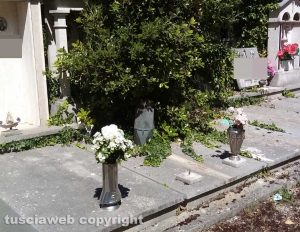 Viterbo - Erbacce tra le tombe al cimitero San Lazzaro