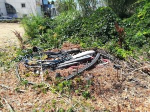 "Pantano ed erba alta nel terreno nel quartiere di Madonna dell'Olivo"