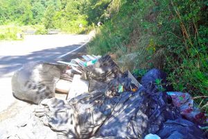 Viterbo - Rifiuti in località Acqua rossa