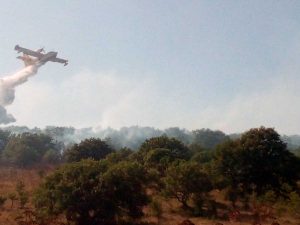 Incendio a Monte Romano - Canadair dei vigili del fuoco