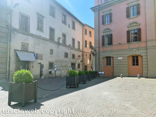 Viterbo - Le fioriere a piazza del Comune
