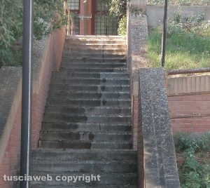 Montalto di Castro - Guano sulle scale del Centro Diurno Maratonda 