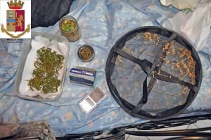 Coltiva marijuana in terrazza, denunciato