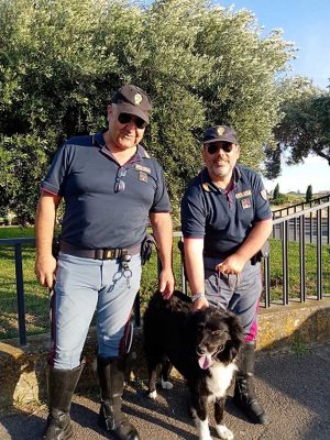 Leo il cane salvato dai poliziotti
