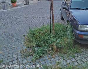 Degrado nel borgo di Roccalvecce