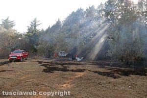 Viterbo - Incendio in via Edoardo Bordoni