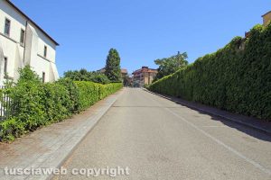 Viterbo - Unitus Santa Maria in Gradi - Il taglio dell'erba
