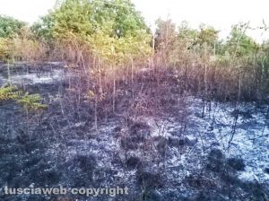 Montefiascone - Incendio di sterpaglie in località Paoletti